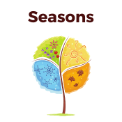 Seasons