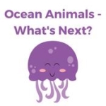 Ocean Animals - What's Next Ocean Animals - What's Next