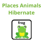 Places Animals Hibernate