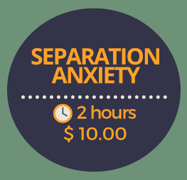 Separation Anxiety