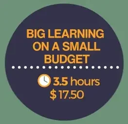 Big Learning On A Small Budget